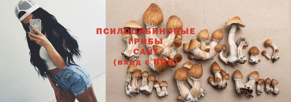 твердый Богданович