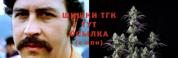 соль ск Богородицк