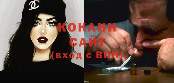 твердый Богданович