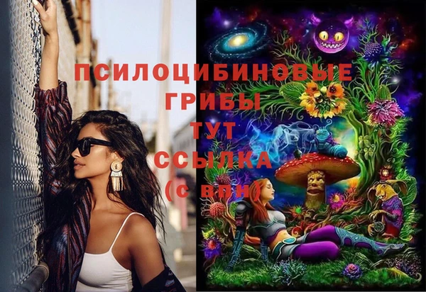 мдпв Богородск