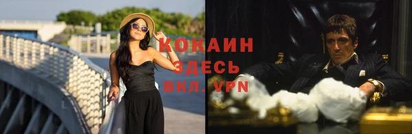 твердый Богданович