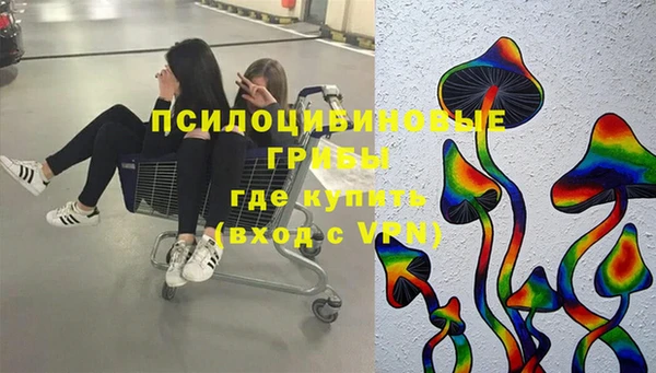 мдпв Богородск