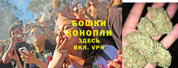 твердый Богданович