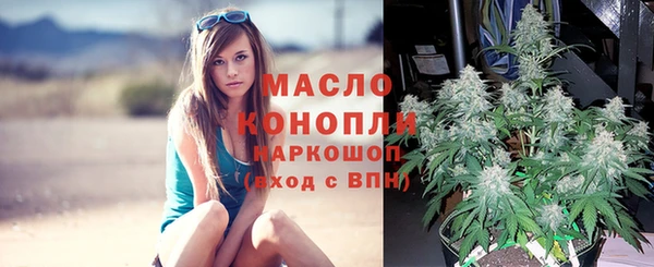 мдпв Богородск