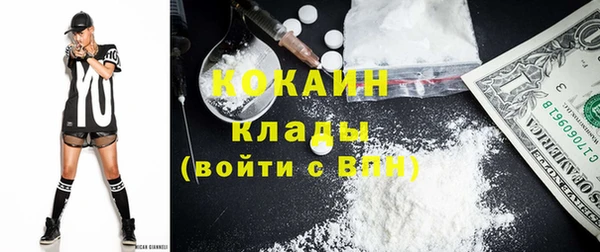 соль ск Богородицк