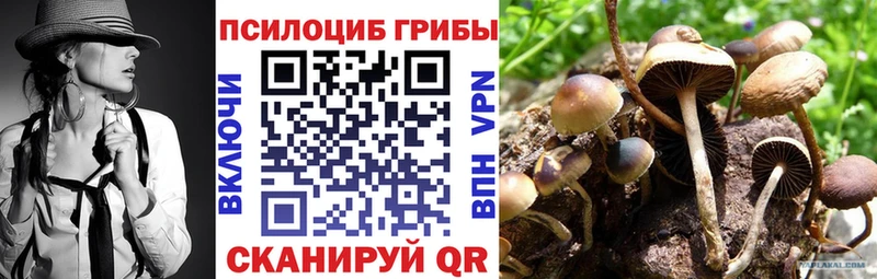 Галлюциногенные грибы MAGIC MUSHROOMS  Бор 